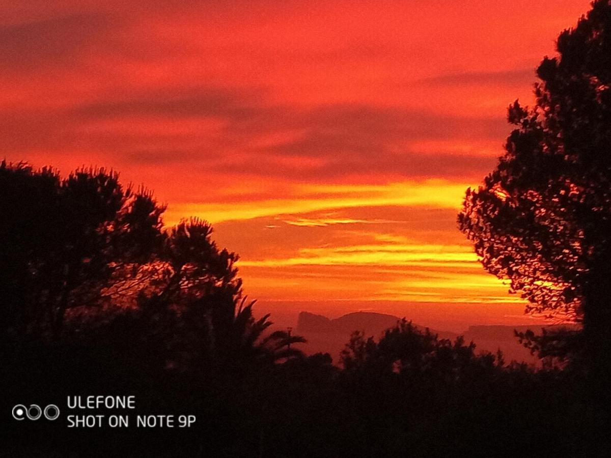 Arcamyrtus Guest House Alghero Bagian luar foto