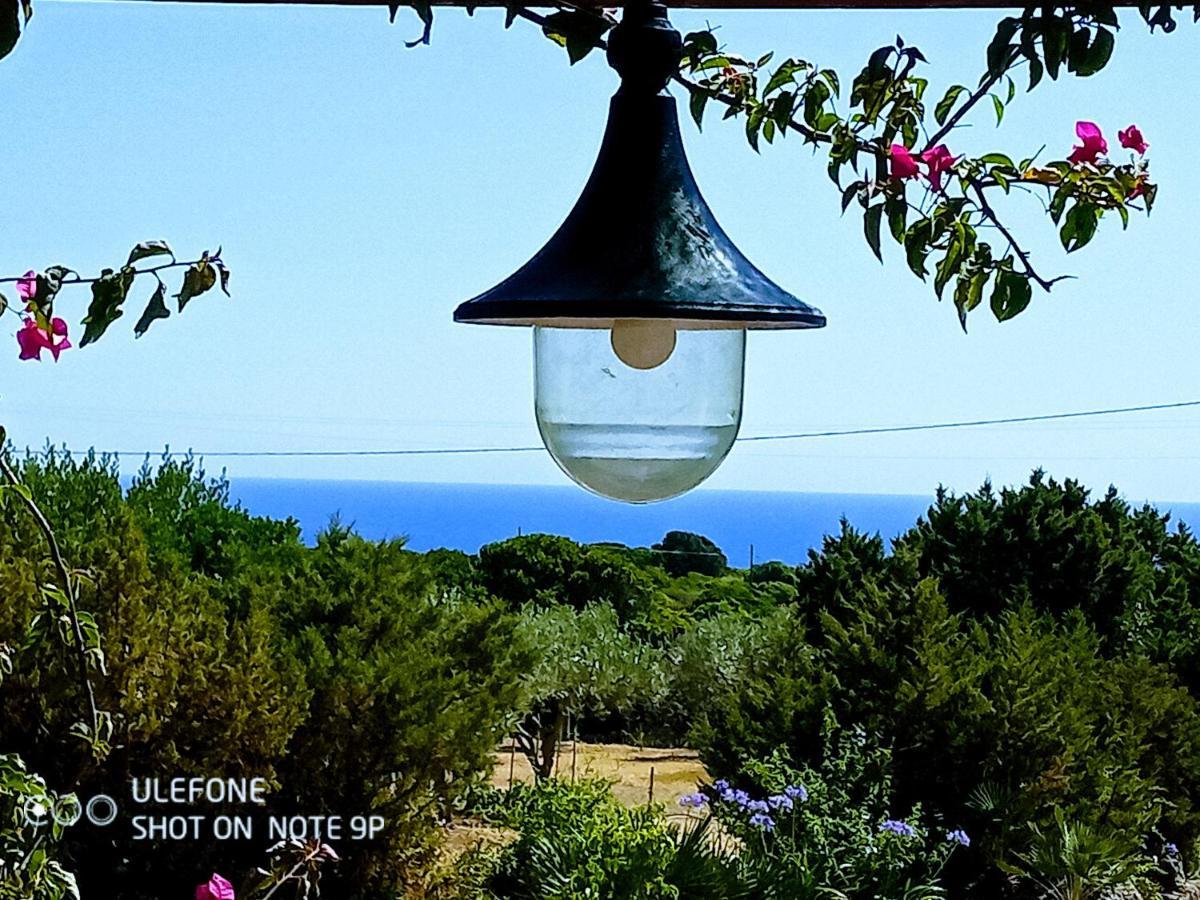 Arcamyrtus Guest House Alghero Bagian luar foto