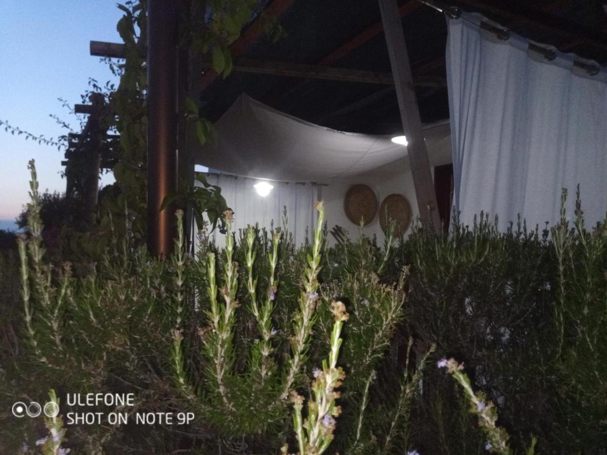 Arcamyrtus Guest House Alghero Bagian luar foto