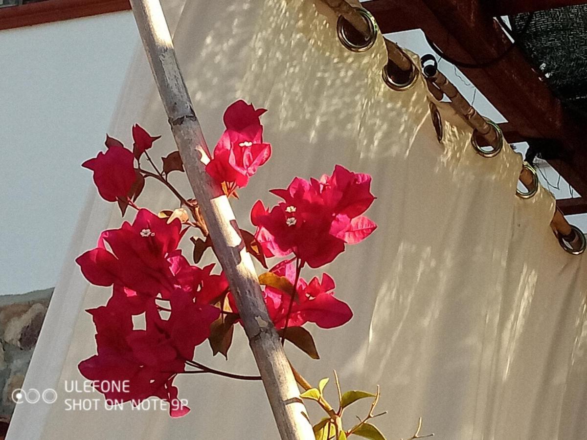 Arcamyrtus Guest House Alghero Bagian luar foto
