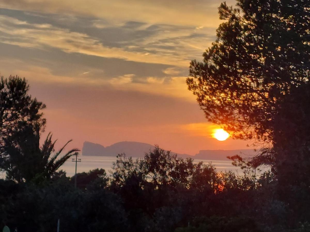 Arcamyrtus Guest House Alghero Bagian luar foto