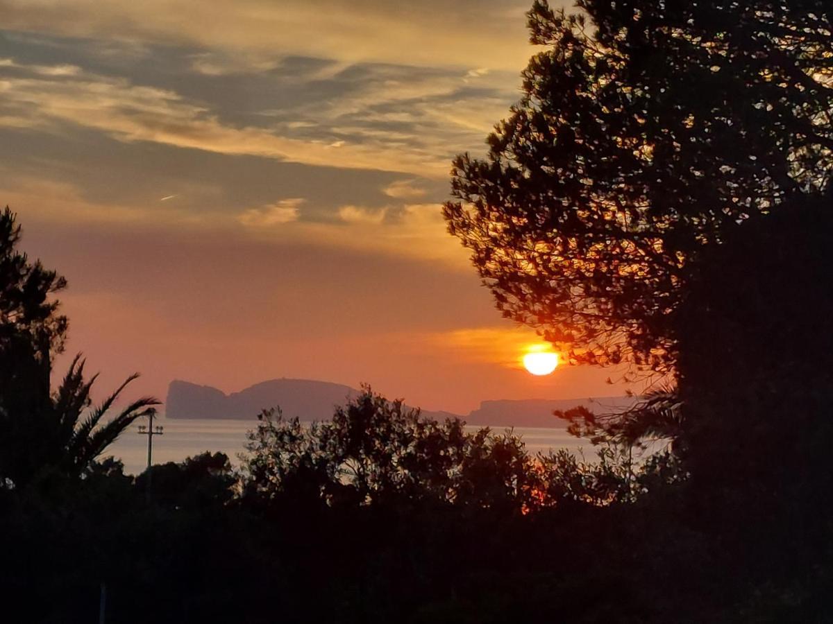 Arcamyrtus Guest House Alghero Bagian luar foto