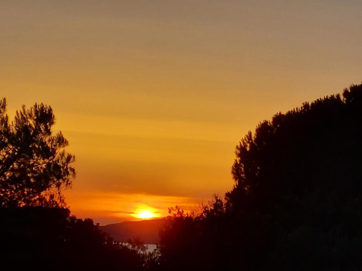 Arcamyrtus Guest House Alghero Bagian luar foto