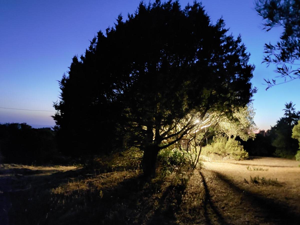 Arcamyrtus Guest House Alghero Bagian luar foto