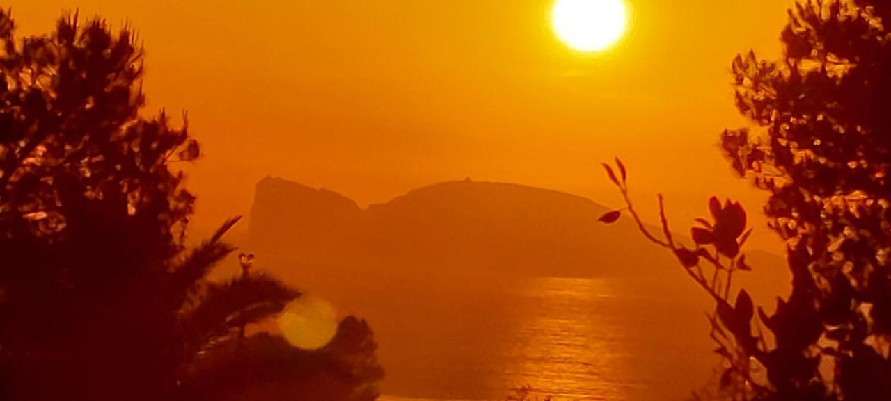 Arcamyrtus Guest House Alghero Bagian luar foto