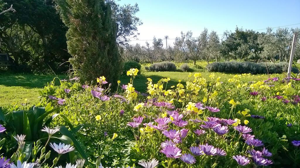 Arcamyrtus Guest House Alghero Bagian luar foto