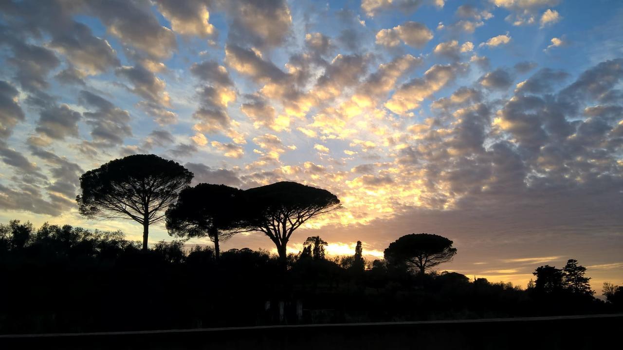 Arcamyrtus Guest House Alghero Bagian luar foto