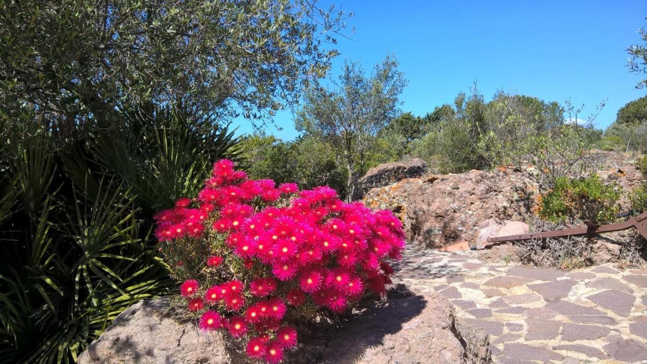 Arcamyrtus Guest House Alghero Bagian luar foto